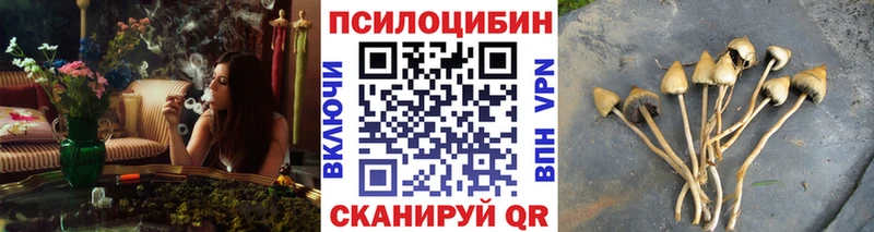 Галлюциногенные грибы Psilocybine cubensis  Назарово 