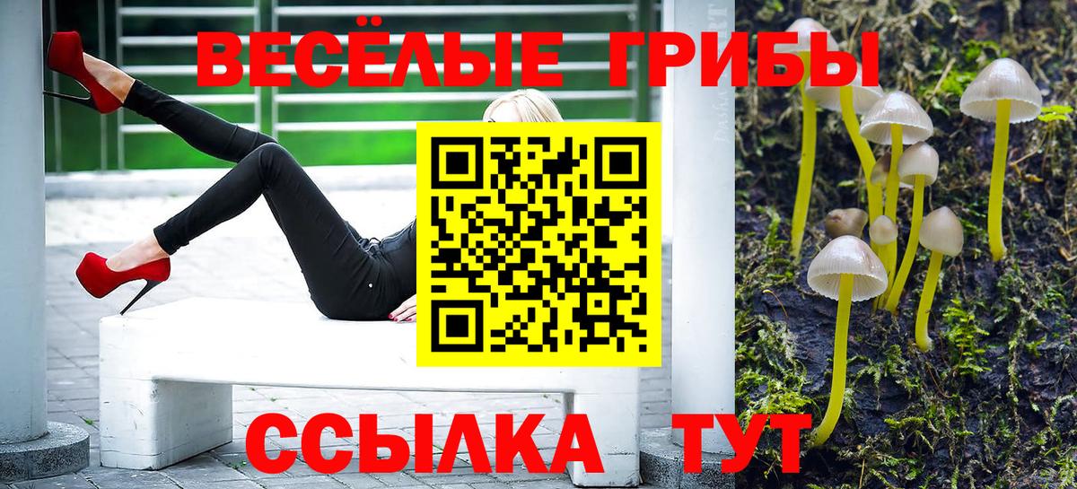 Псилоцибиновые грибы MAGIC MUSHROOMS Назарово