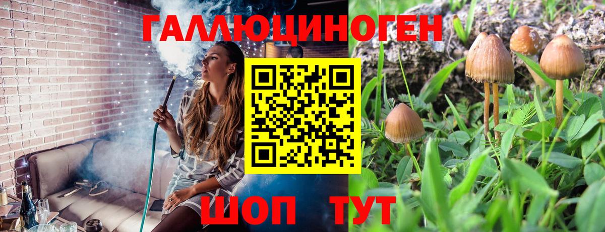 купить   Псилоцибиновые грибы ЛСД  Вход с VPN  Галлюциногенные грибы Psilocybe  Назарово 
