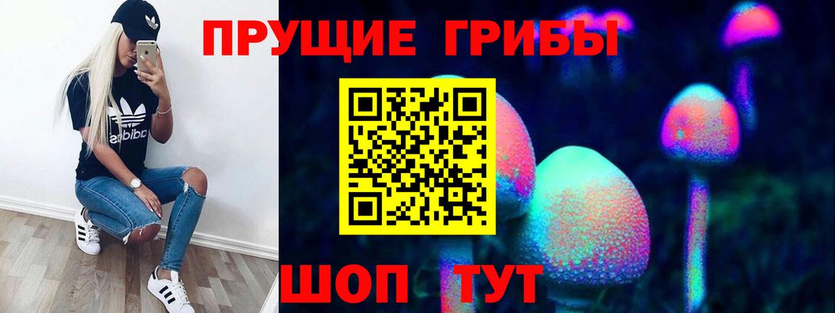 Псилоцибиновые грибы прущие грибы Назарово
